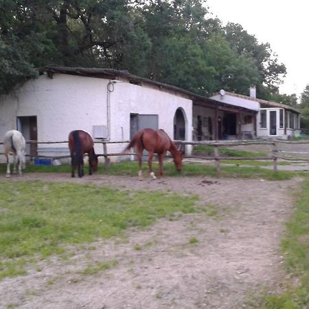 Ferme Equestre Des Abrons Villa Pailloles Ngoại thất bức ảnh