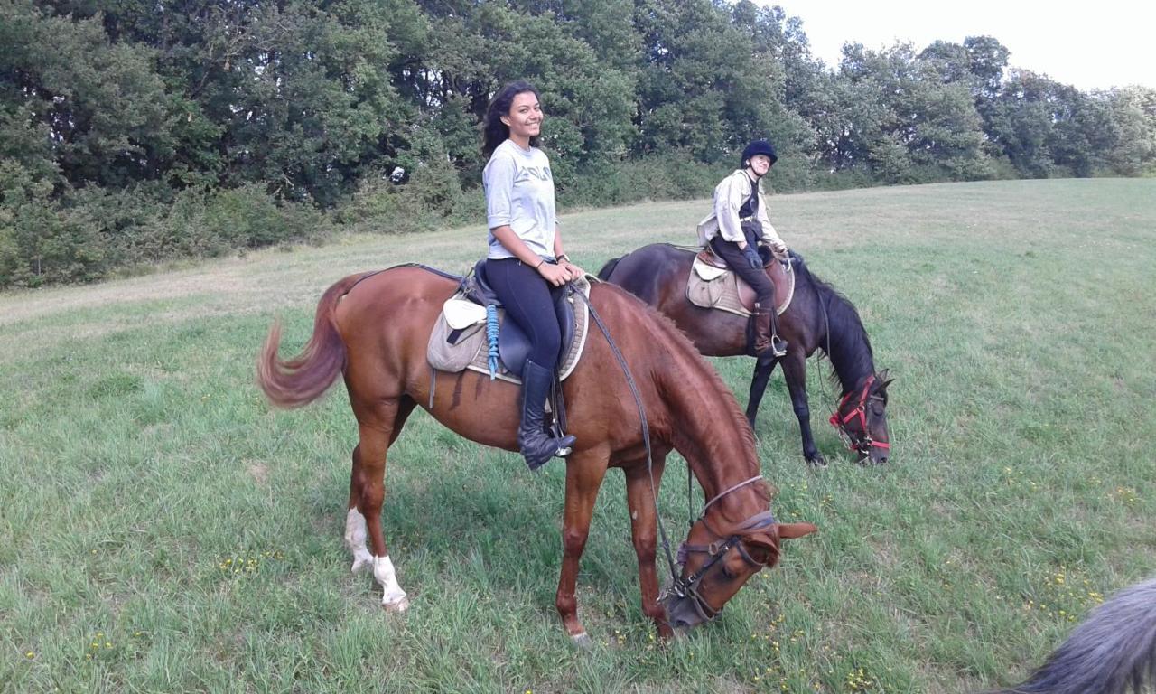 Ferme Equestre Des Abrons Villa Pailloles Ngoại thất bức ảnh